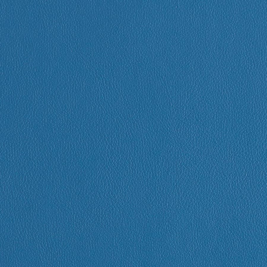 Bluejay