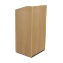 Elector Lectern