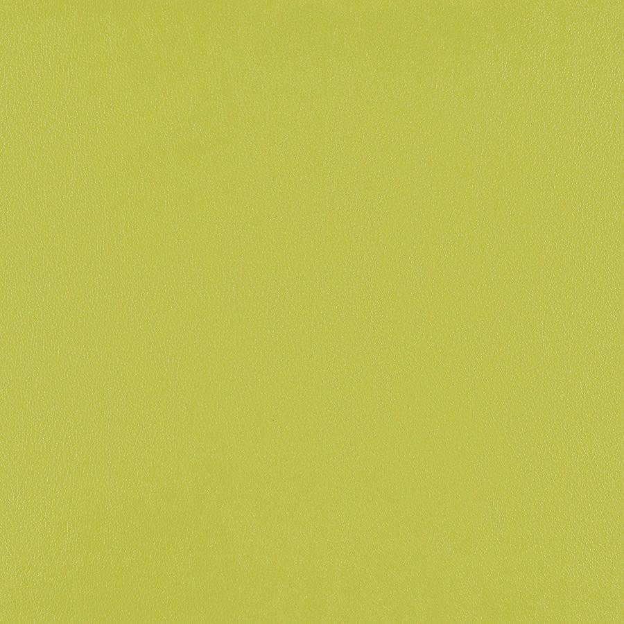 Apple 3919-502