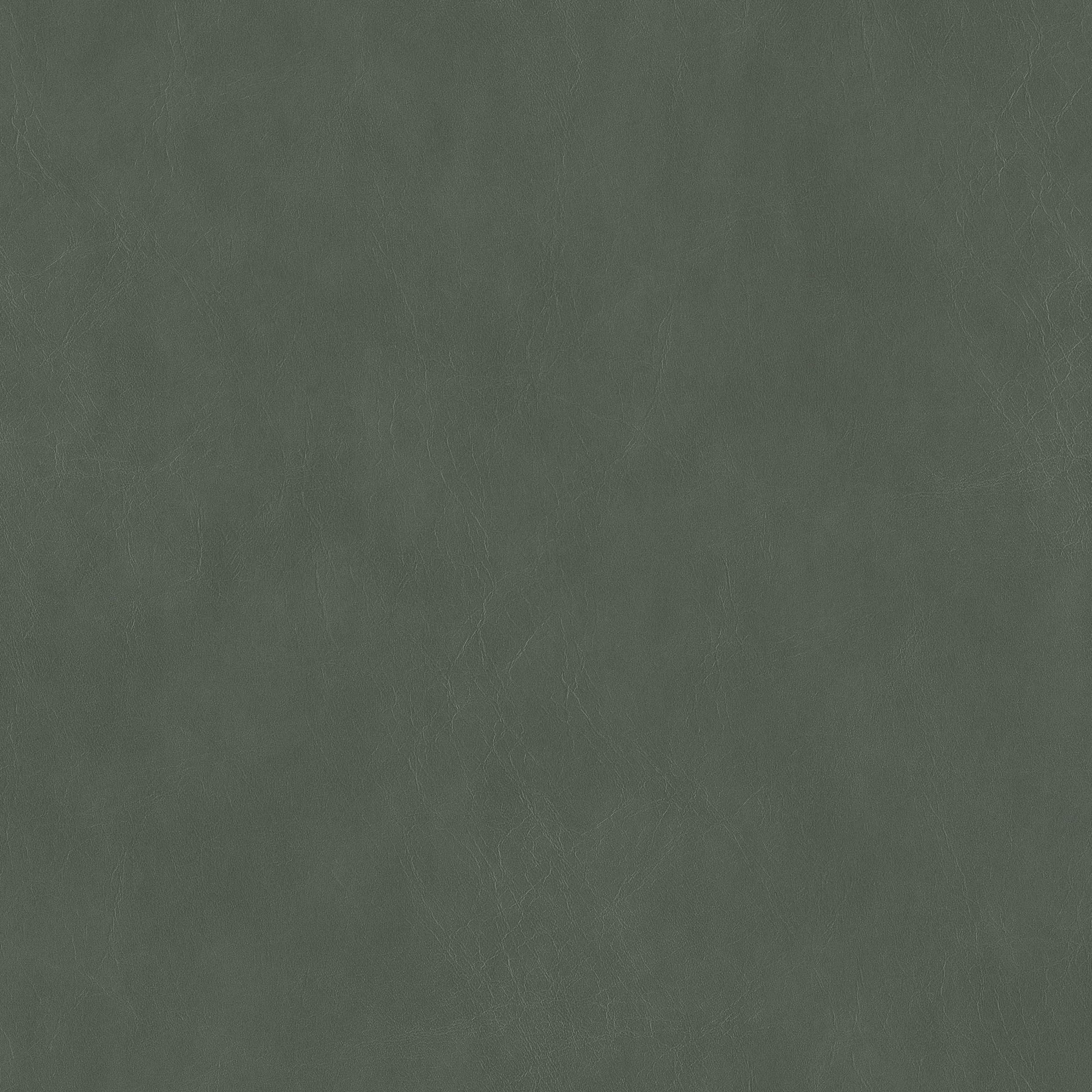 Cordovan swatch 6