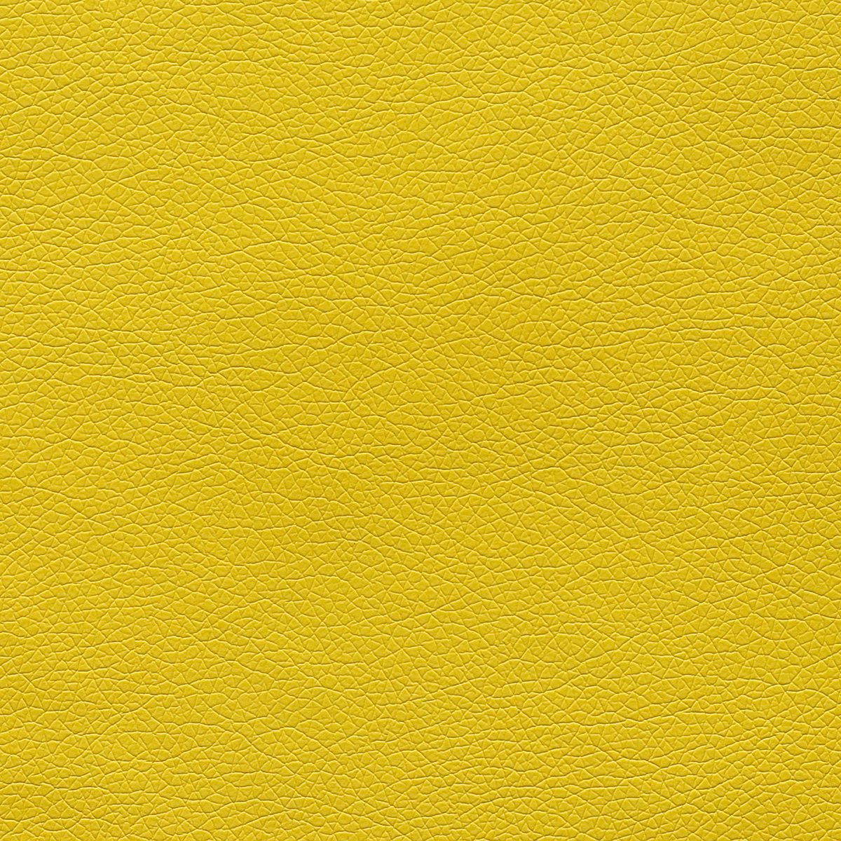 Canter  swatch 5