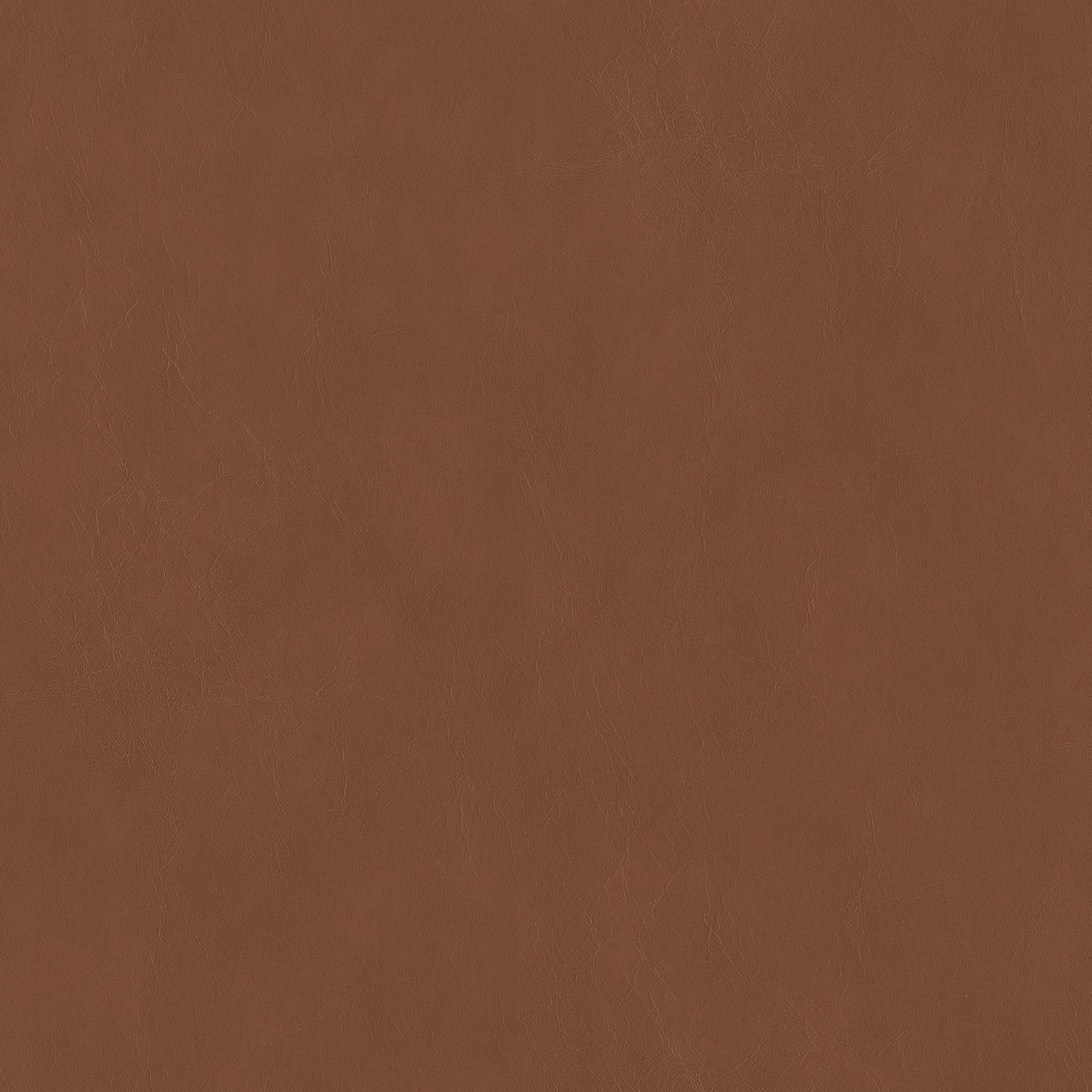 Cordovan swatch 1