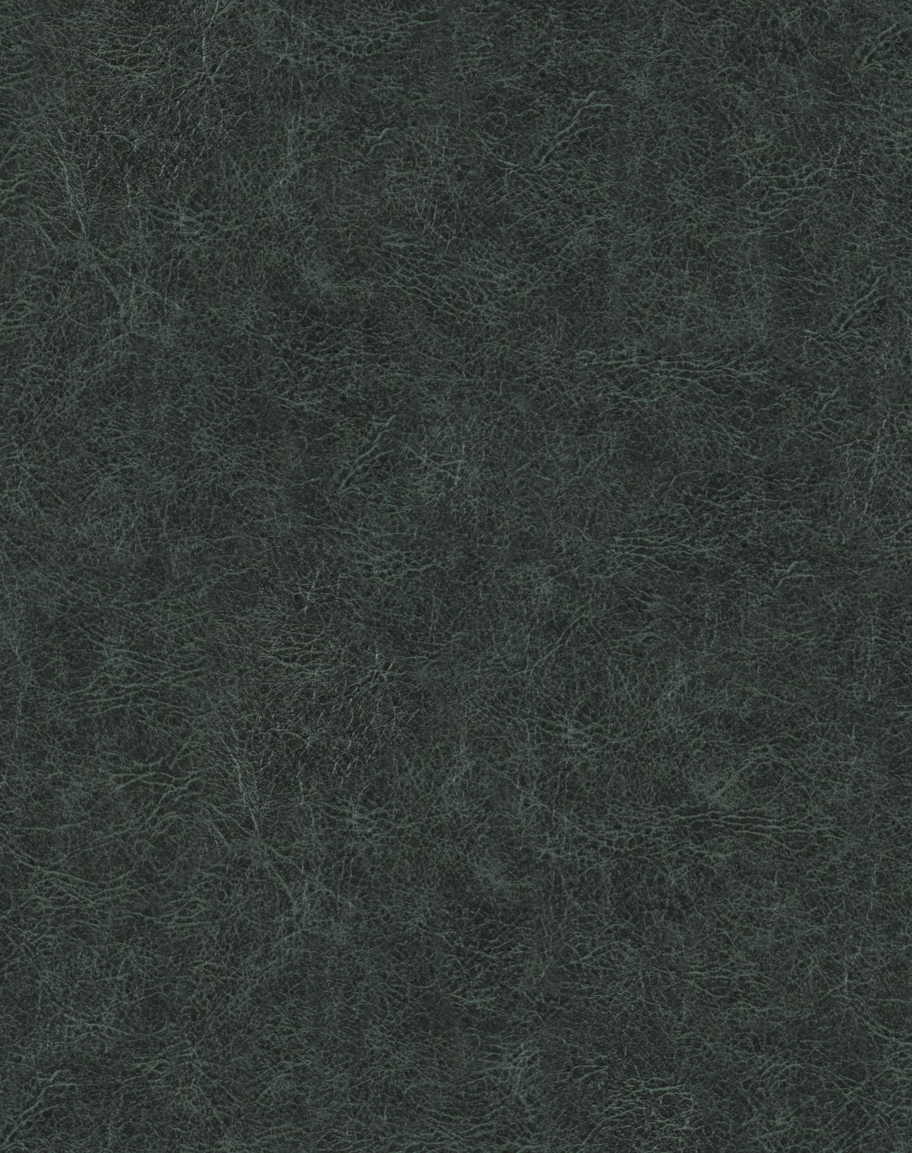 Cosmos swatch 3