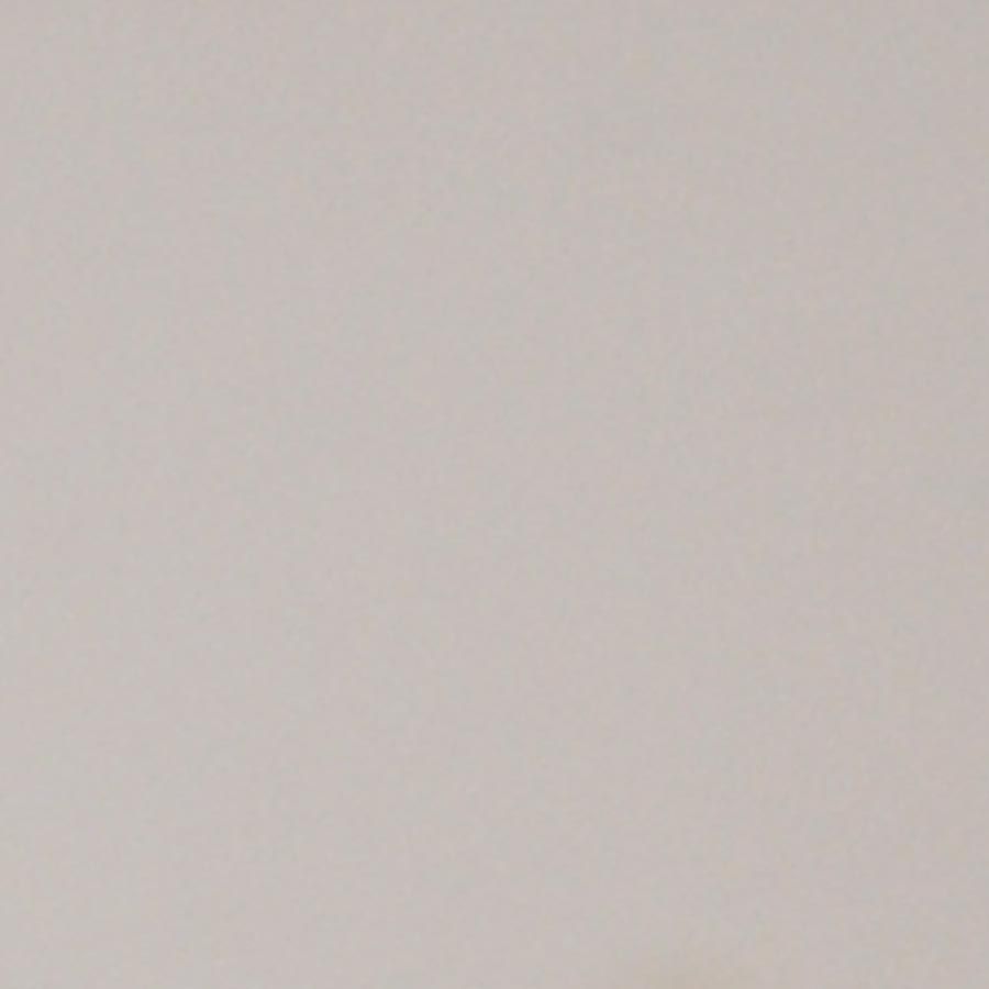 Powder Coat swatch 5