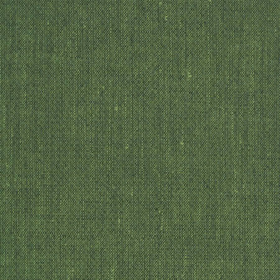 Jungle