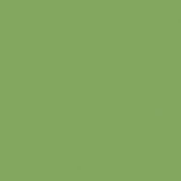 Parakeet T22 