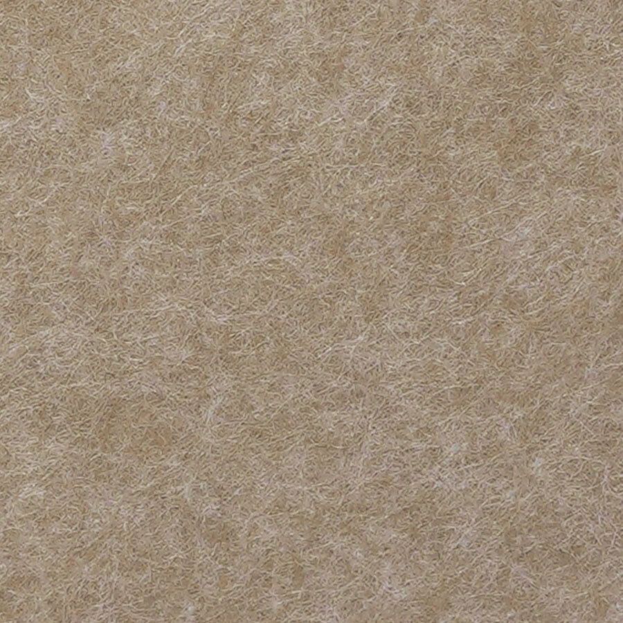 Camel AC02