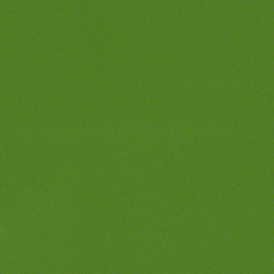 Chive