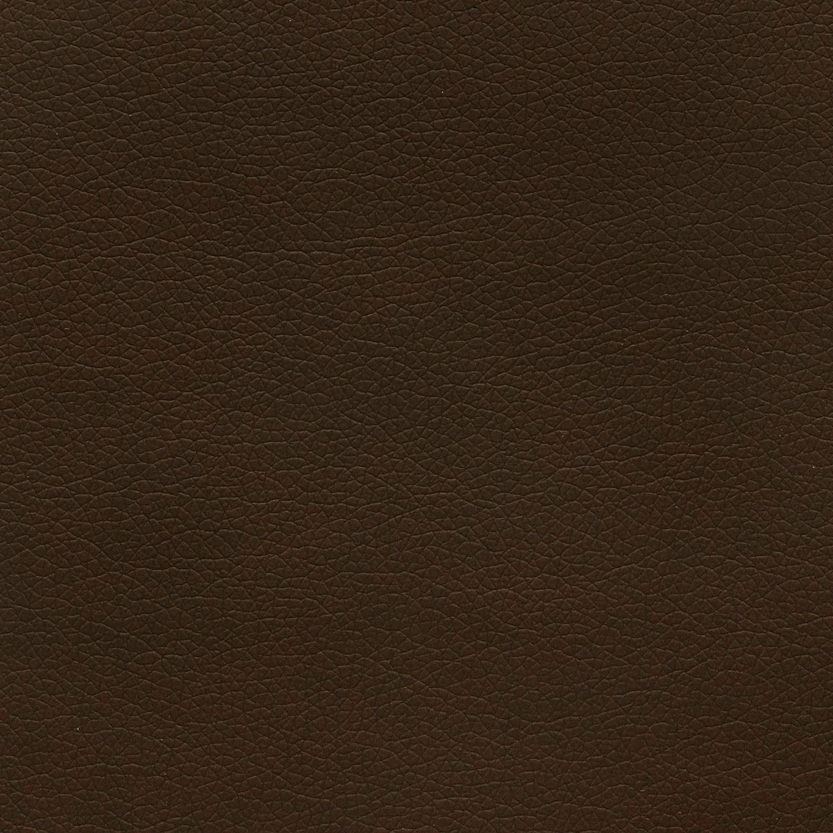 Canter  swatch 6