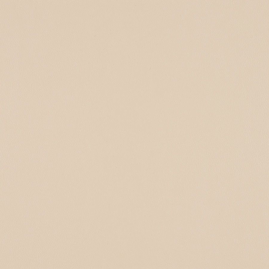 Enoki 3919-101